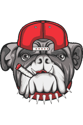 Grunge – Edición Urbana Diseño de vector de cabeza de perro bulldog con gorra roja hacia atrás