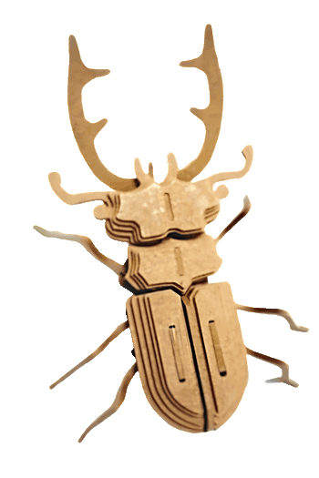 Insects Vector Collection - Corte Láser Modelo 3D de un escarabajo ciervo con grandes mandíbulas fabricado en madera MDF de 3mm.