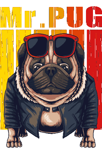 Pugs Rockeros y Patriotas Mr. Pug, el pug más cool del barrio