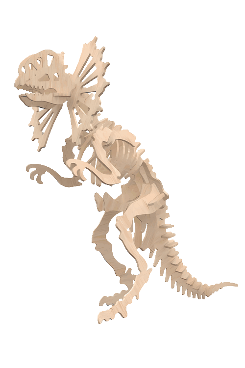 Rompecabezas 3D Esqueletos Prehistóricos & Primate Modelo 3D armable de esqueleto de Dilofosaurio cortado en madera para ensamble.