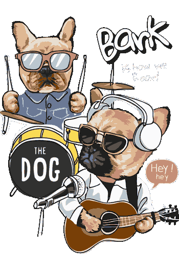 Pugs Rockeros y Patriotas La banda más perruna del mundo! Pug guitarrista