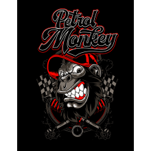 petrol_monkey_racing