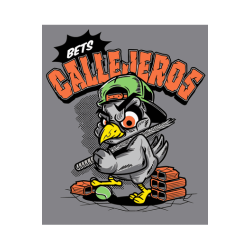 Diseño vectorial de pájaro con gorra verde, bastón, ladrillos rotos, pelota de tenis, texto 'BETS CALLEJEROS' en naranja