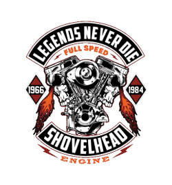 Diseño vectorial de moto chopper con cráneo, alas y cadena, texto 'Biking is not a hobby it's my way of life
