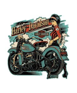 vintage moto anticua clasica harley davison