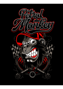 petrol_monkey_racing