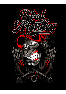 petrol_monkey_racing