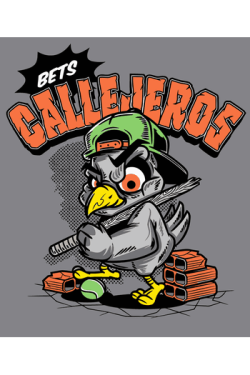 Callejeros
