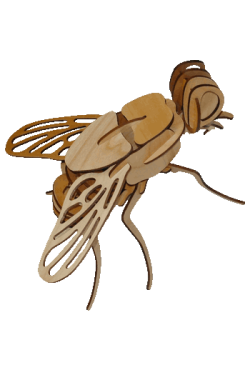 Maqueta armada de rompecabezas 3D en madera de una mosca cortada con tecnología láser.