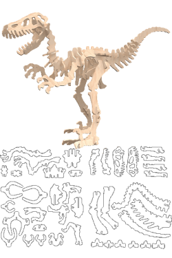 Diseño vectorial y ensamblaje 3D de esqueleto de Velociraptor para maquetas en madera.