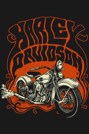 vintage Gasoline Bandit vintage harley-davidson moto clasica antigua